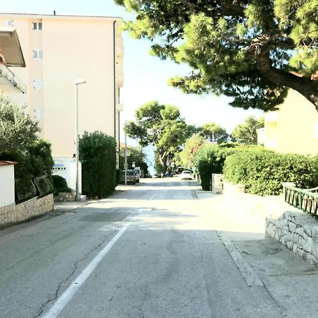 Rose, Close To The Apartament