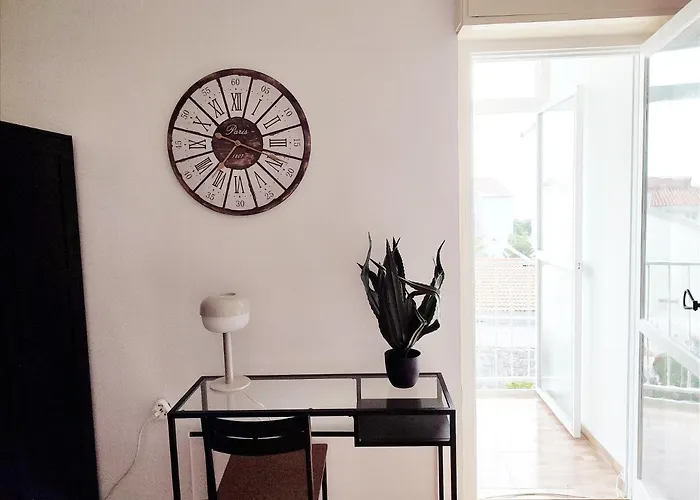 Rose, Close To The * Makarska