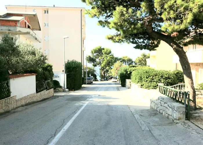 Rose, Close To The Apartment