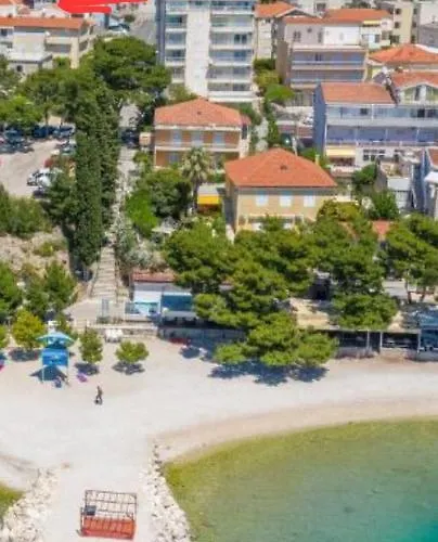 Rose, Close To The Apartment