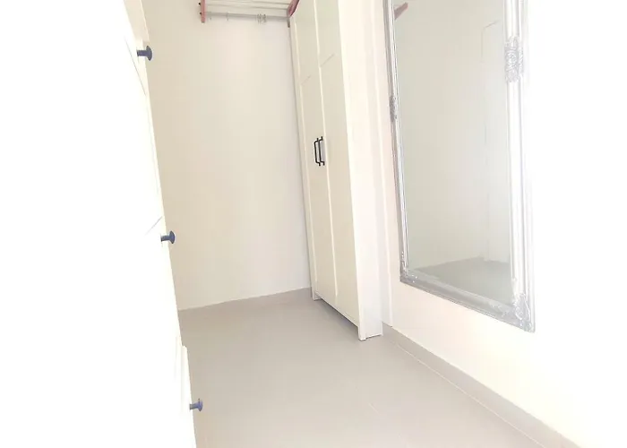 Rose, Close To The * Makarska